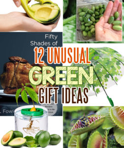 12 green gifts ideas