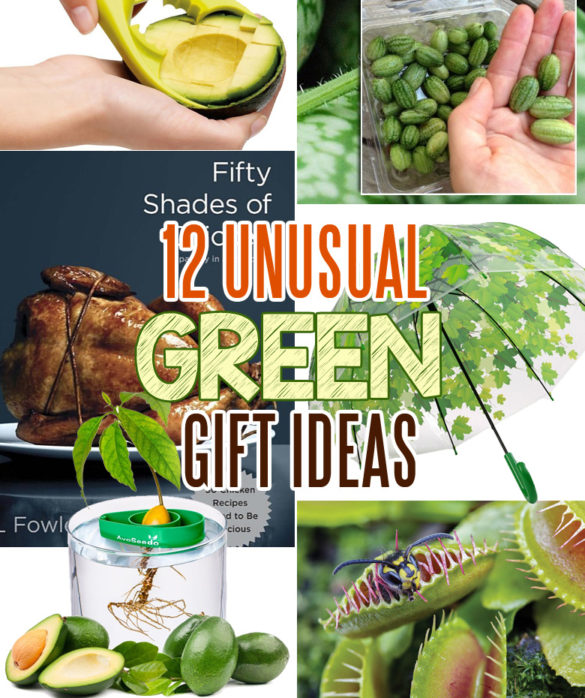 12-green-gifts-ideas - Craft-Mart