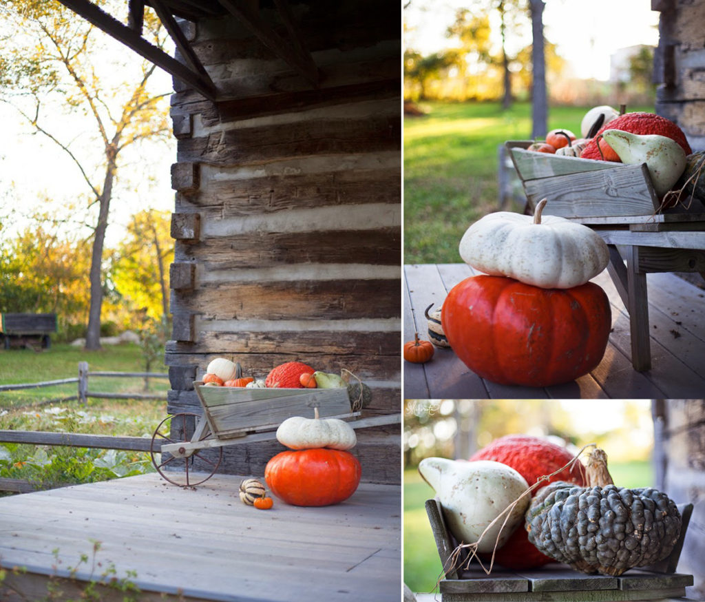 Rustic Wheel Barrow Decor