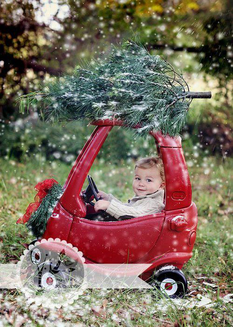 Dashing Through The Snow most creative and funny Christmas photos craft-mart