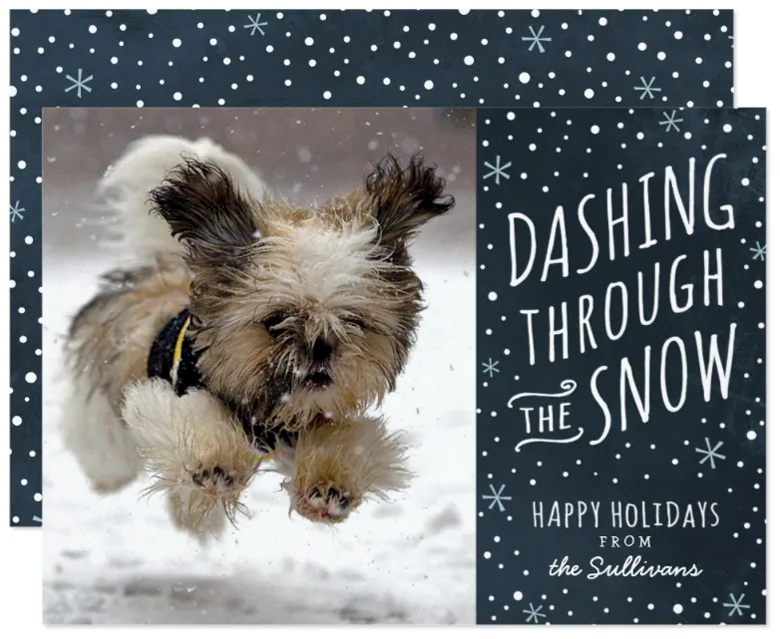 Funny Christmas Photos Card Ideas - Christmas Cards Ideas to Cheer Up your Family and Friends. Funny Dashing Through The Snow Photo Christmas Cards Ideas
