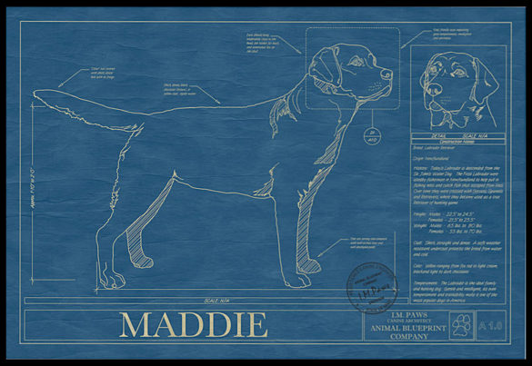 dog blueprint pillow