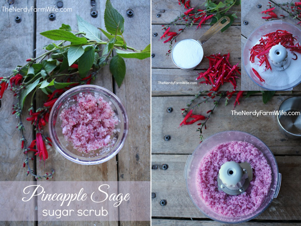 Pineapple sage sugar scrub - easy DIY recipe for homemade natural spa products