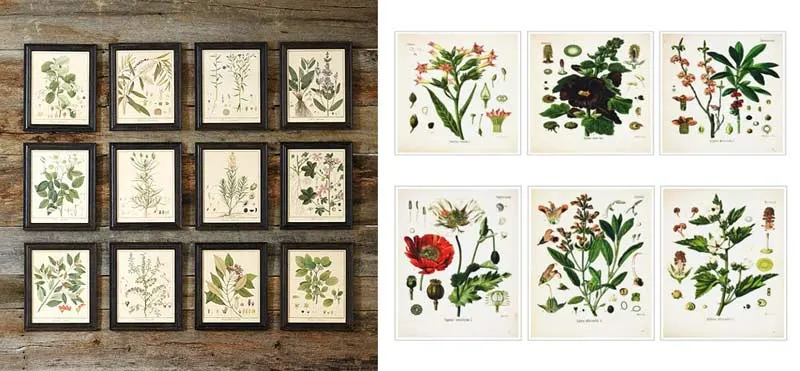 21 Farmhouse Botanical Prints