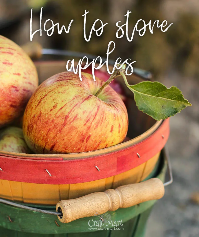 how to store apples
