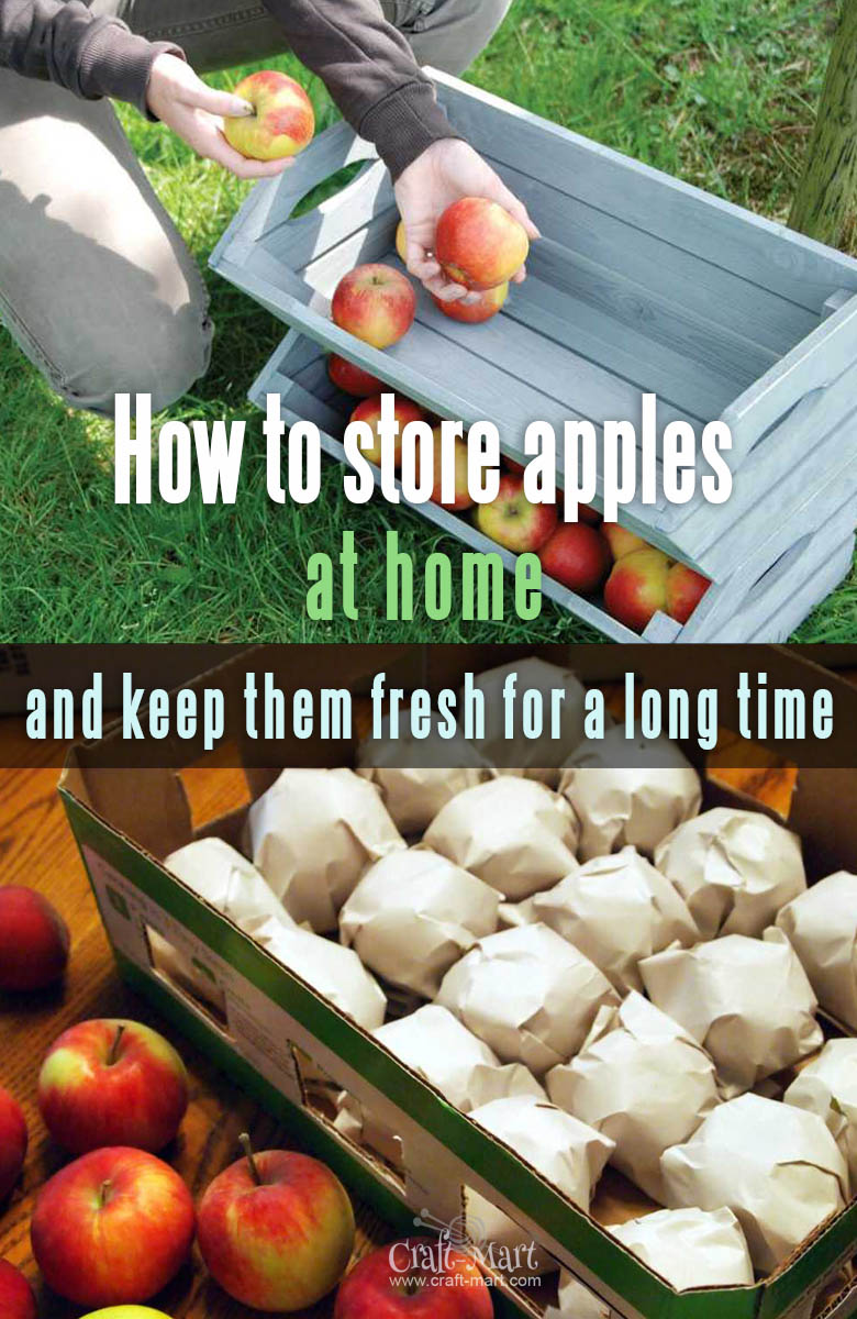 How to store apples at home
