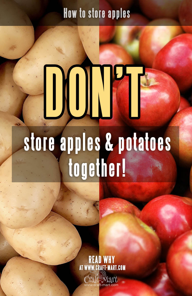 How to store apples at home - don't store them with potatoes!