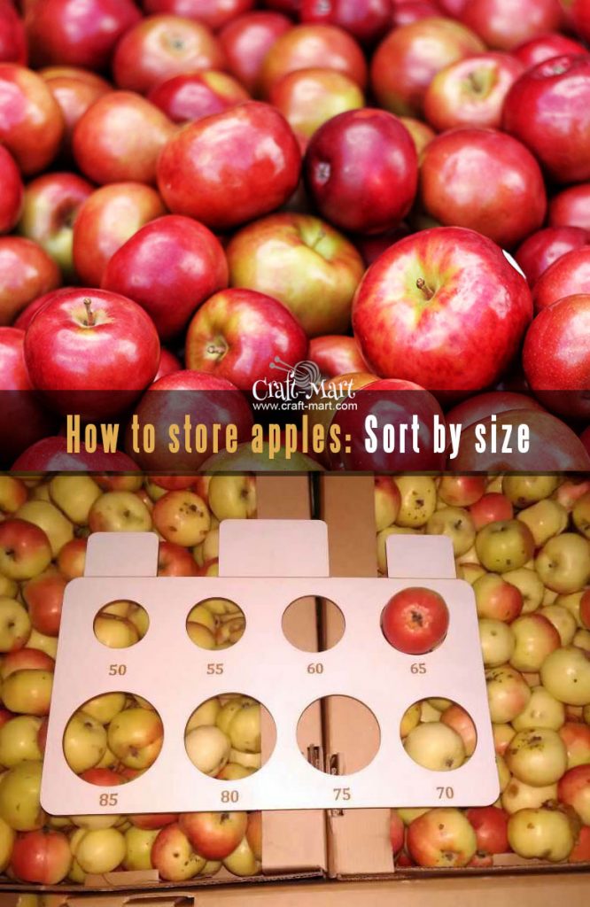 How to store apples to keep them fresh (whole and sliced) CraftMart