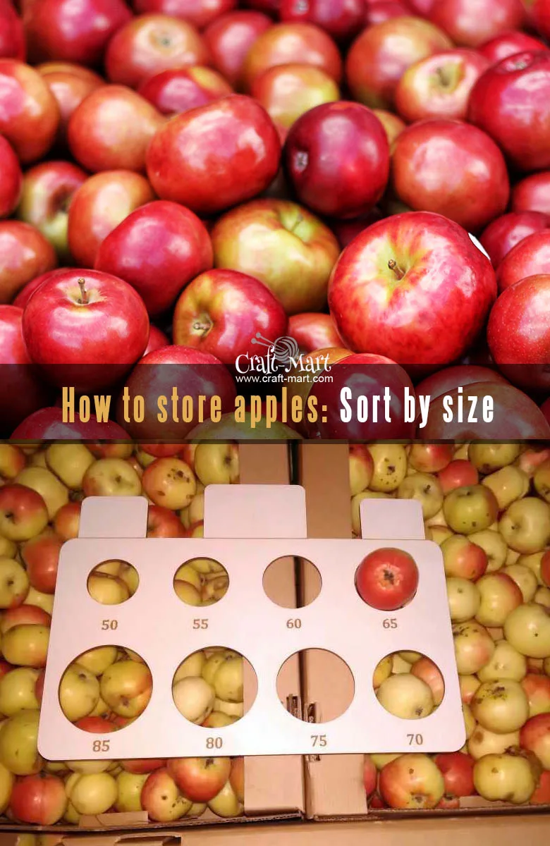 how to keep apples fresh longer - sort apples by size