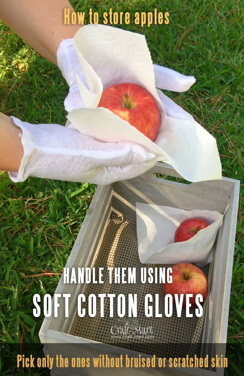 how to pick and store apples - use soft gloves