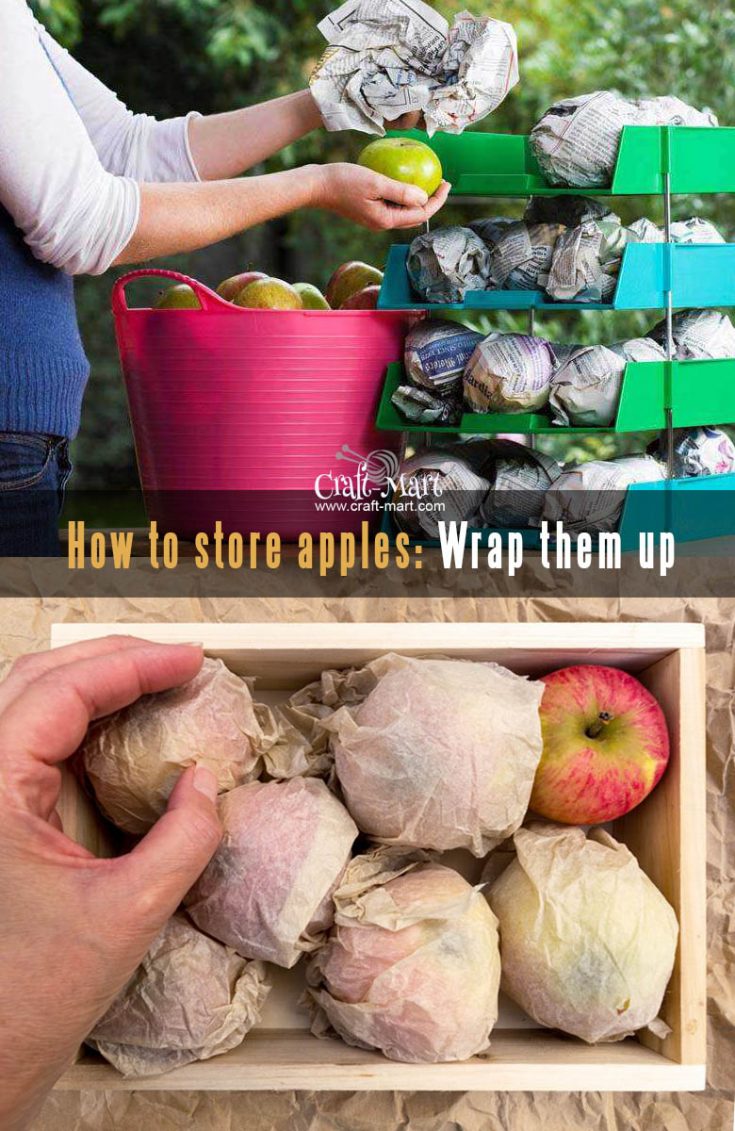Apple Storage Wrapper How to store apples to keep them fresh (whole and sliced) - Craft-Mart