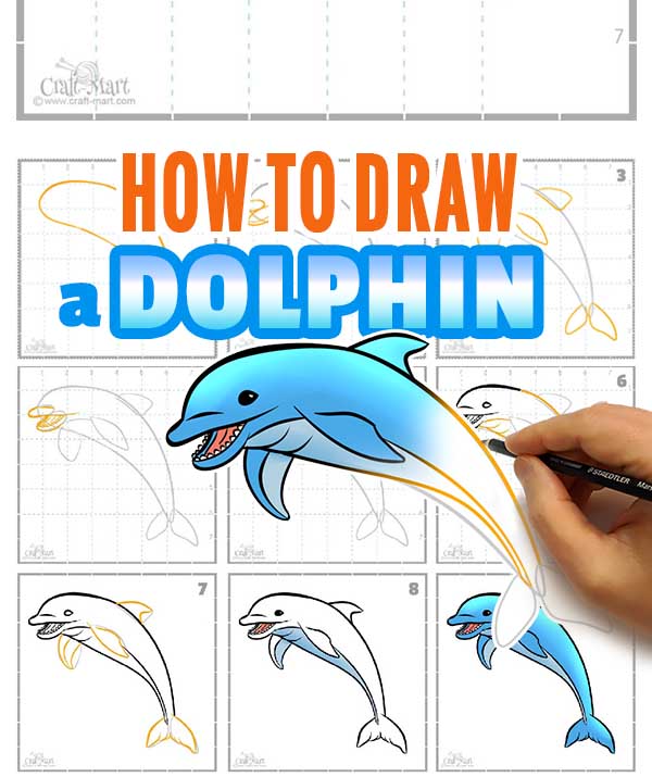 212-how-to-draw-a-dolphin-featured - Craft-Mart