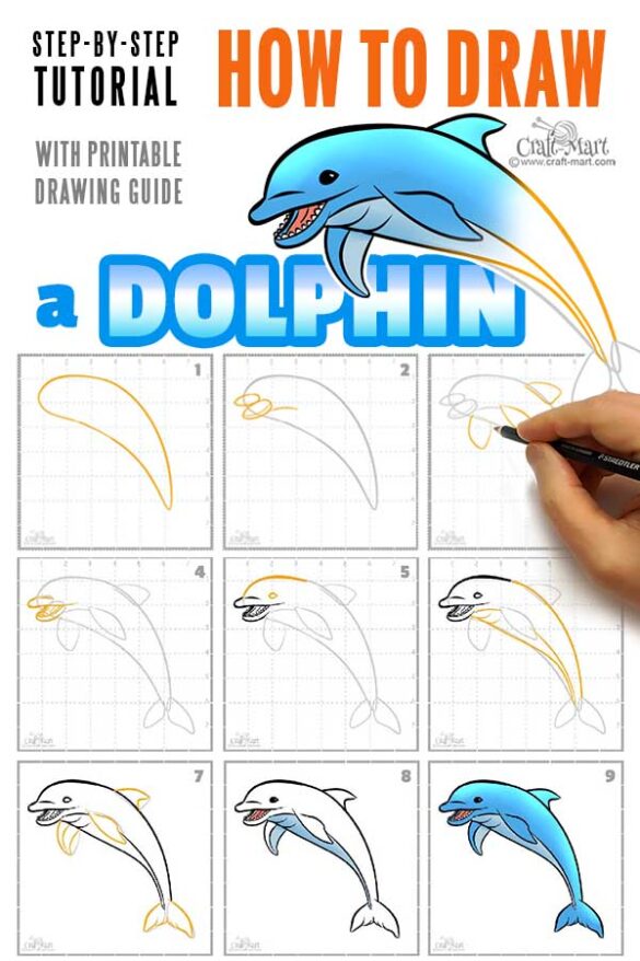 Drawing a dolphin step-by-step tutorial - Craft-Mart