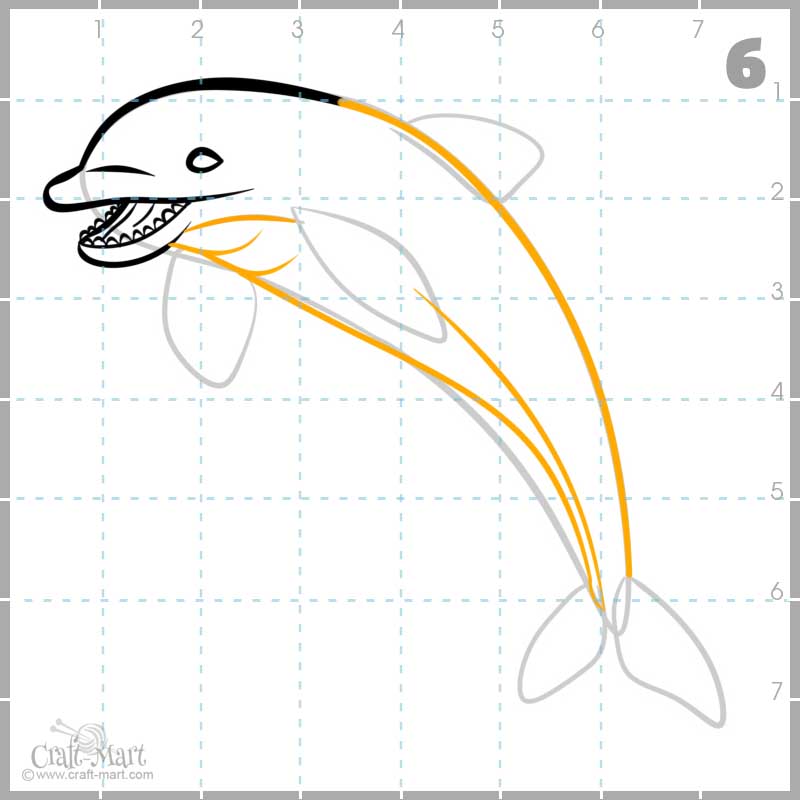 finalizing the dolphin's body outlines