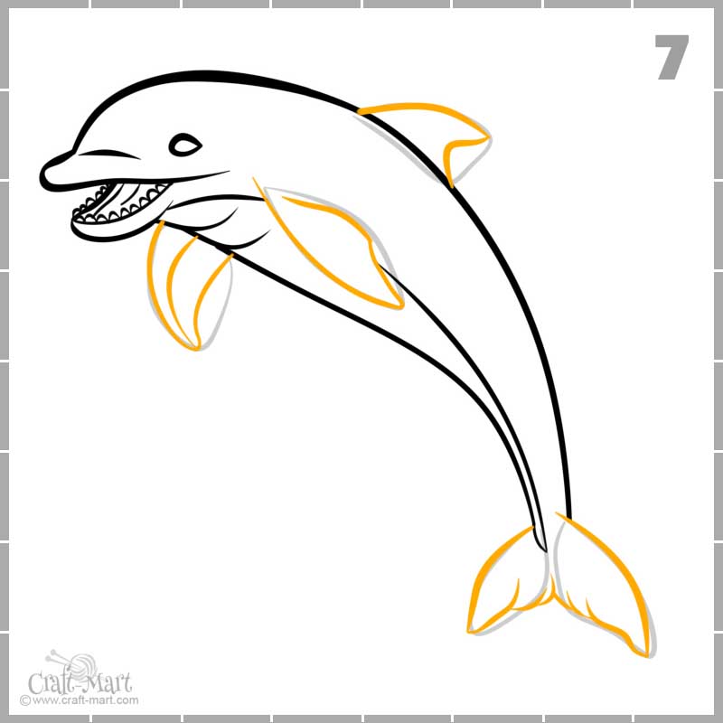 how to draw a dolphin easy