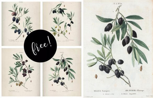 100+ Free Farmhouse Printables Fixer-Upper Style