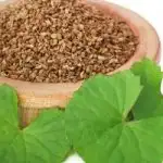 Ajowan seed essential oil is distilled from the seeds of a plant also known as Ajwain or Carom