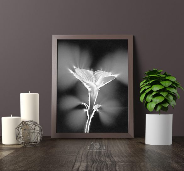 Free printable floral wall art to beautify your space - Craft-Mart