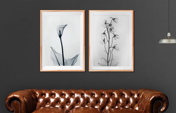 Free printable floral wall art to beautify your space - Craft-Mart