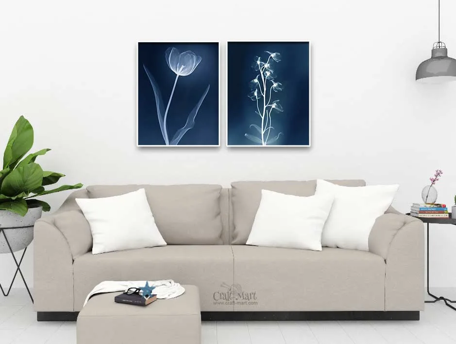 floral wall art - x-ray flowers - free printable flower pictures for modern interiors