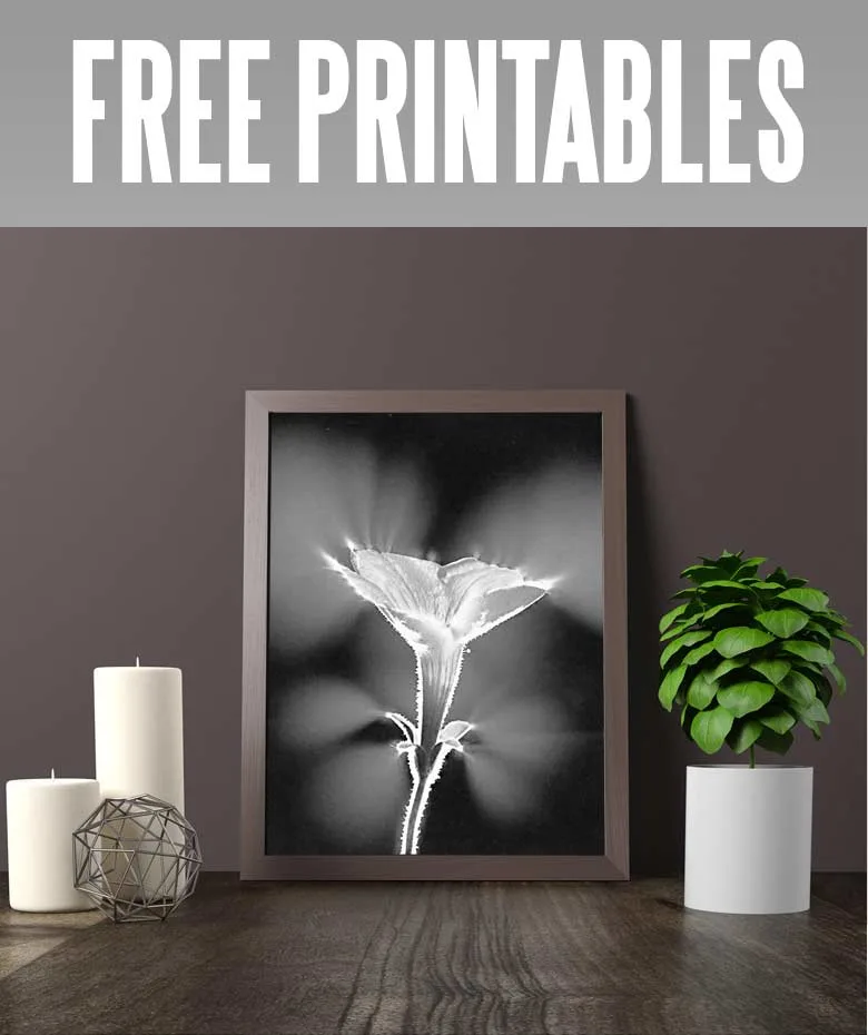 free printables of flowers