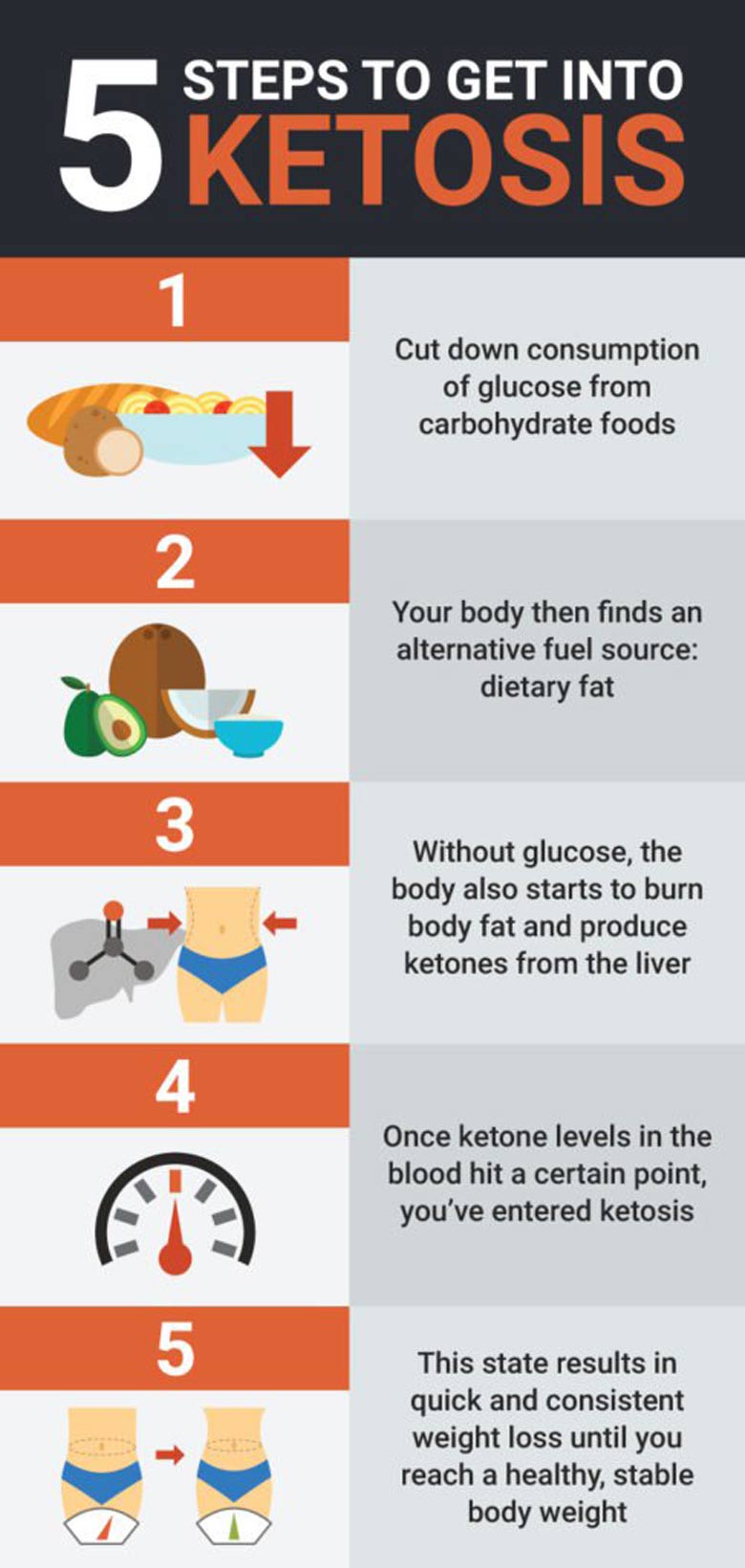 Ketosis Diet Basics 2873