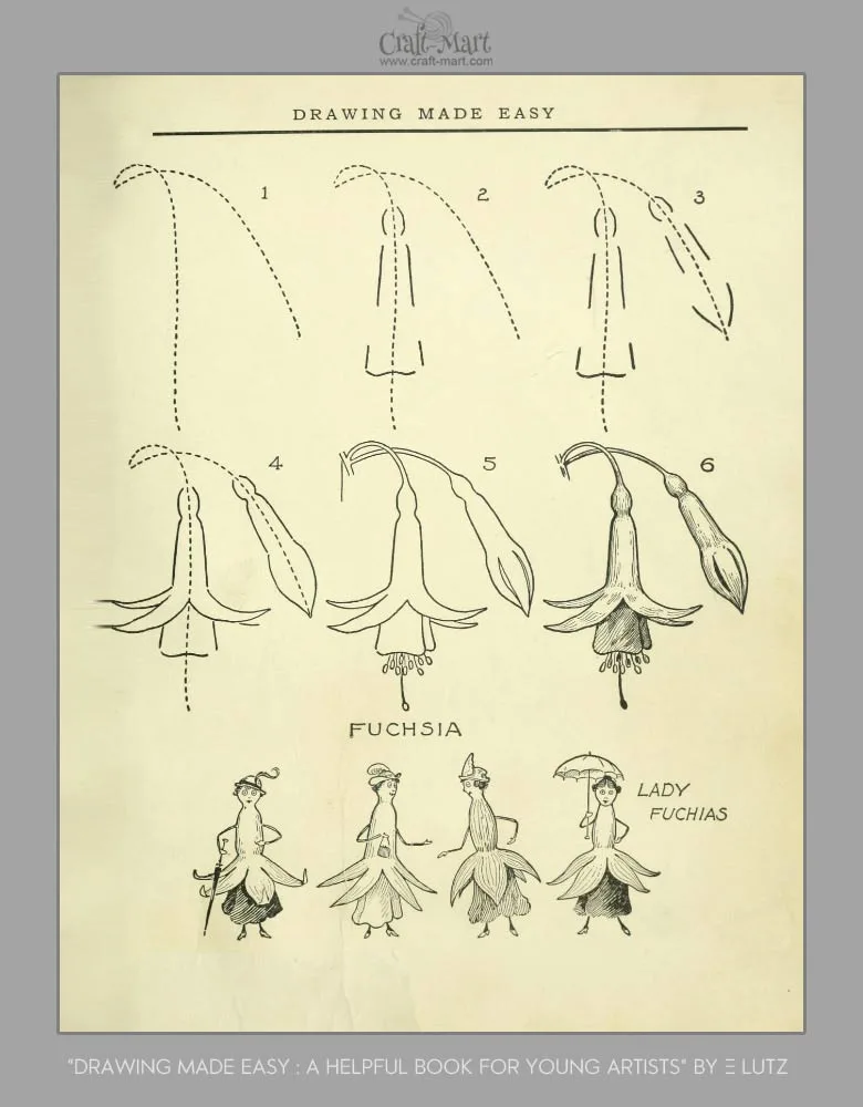 Fuchsia Drawing Tutorial