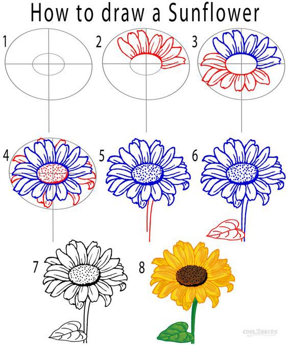 how to draw a sunflower