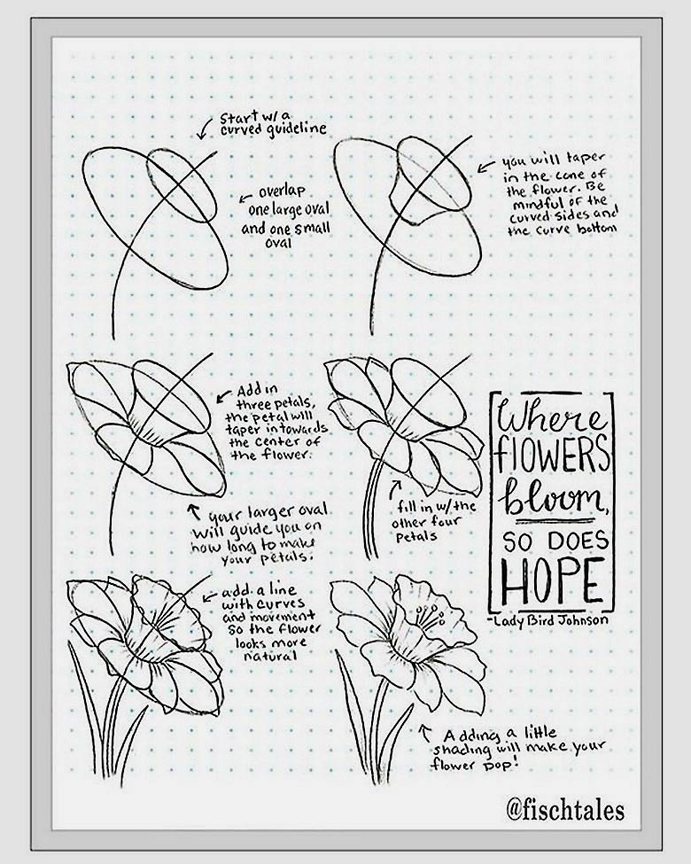 how to draw a flower instructions - Learn how to draw flowers like roses of lilies and turn them into really beautiful wall art. practice flower drawings easy on chalkboard with step-by-step tutorials and easy to follow the instructions and get amazing results! Drawing is relaxing and fun for all ages! #drawings #howtodraw #flowers #wallart #walldecor