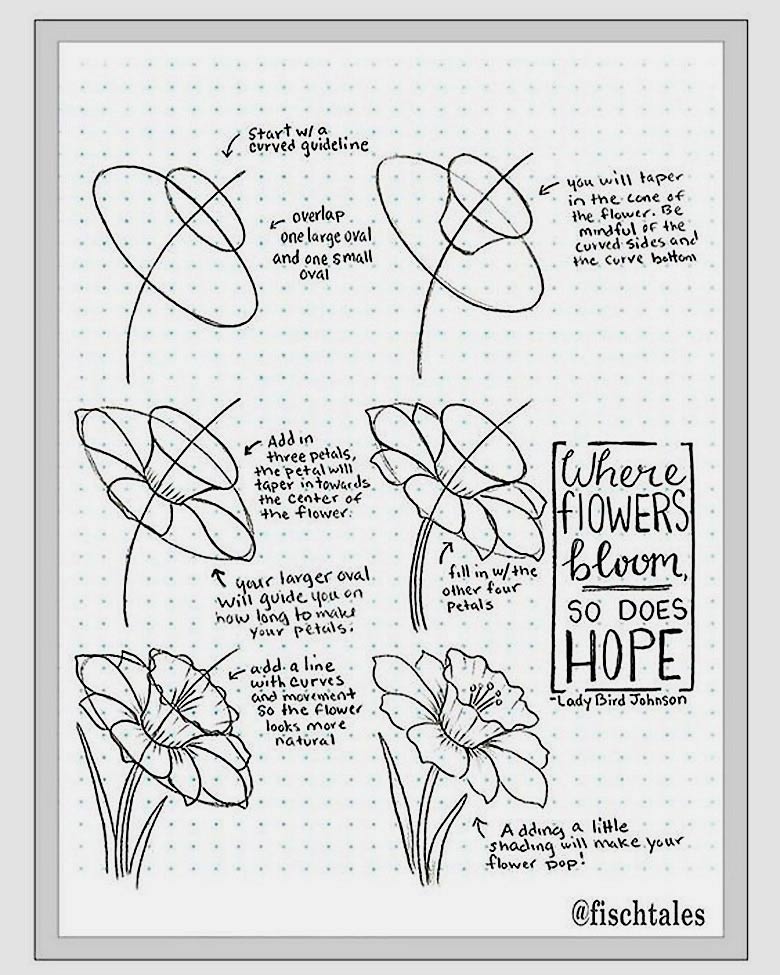 From simple to complex step-by-step drawing demonstration