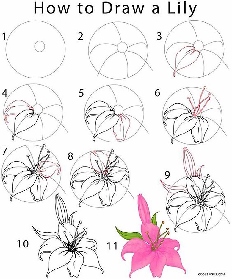 How To Draw A Flower Step By Step With Pictures