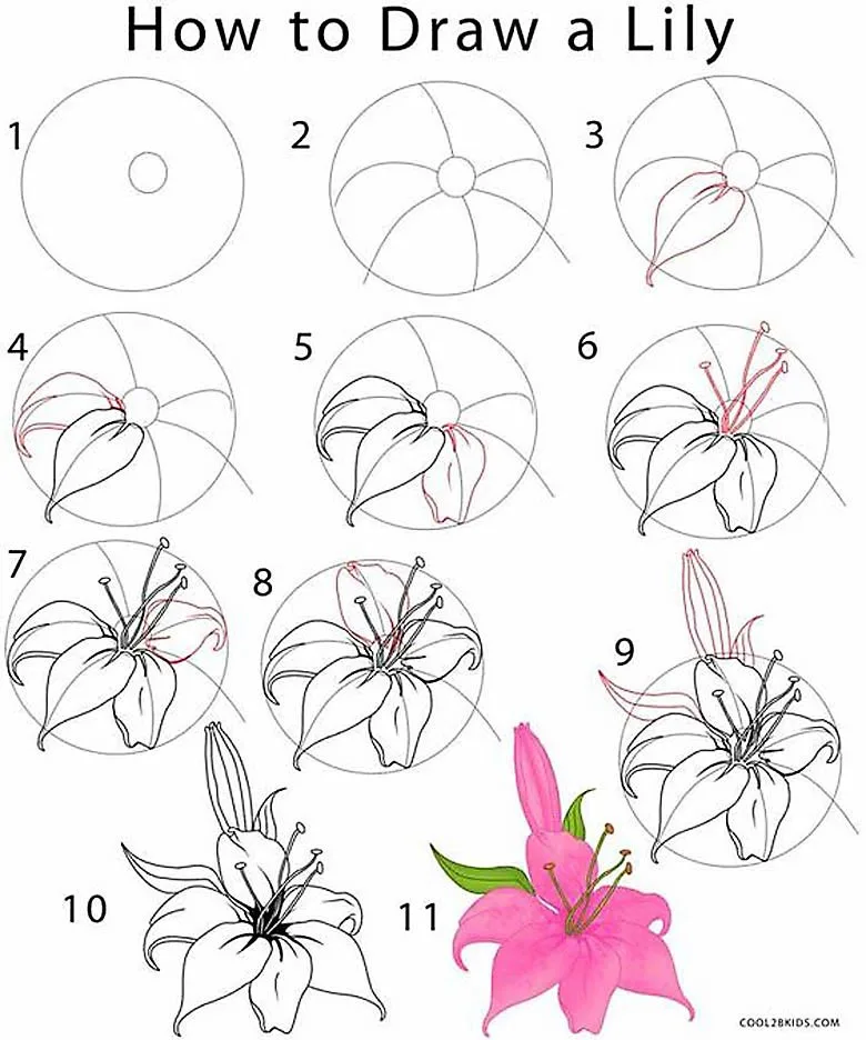 How To Draw Flowers And Turn These Drawings Into Really Cool Wall Art Craft Mart