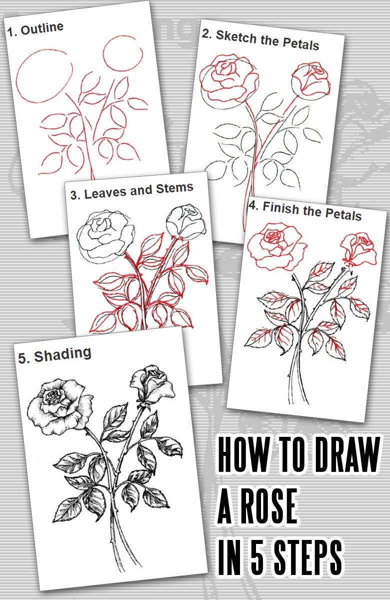 How to Draw a Rose in 5 Steps - Learn how to draw flowers like roses of lilies and turn them into really beautiful wall art. practice flower drawings easy on chalkboard with step-by-step tutorials and easy to follow the instructions and get amazing results! Drawing is relaxing and fun for all ages! #drawings #howtodraw #flowers #wallart #walldecor