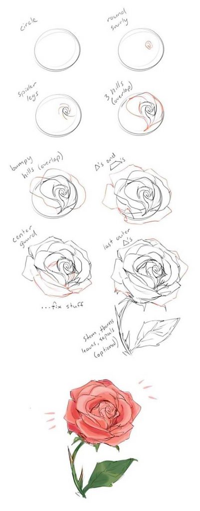 How to draw a rose step-by-step drawing instructions