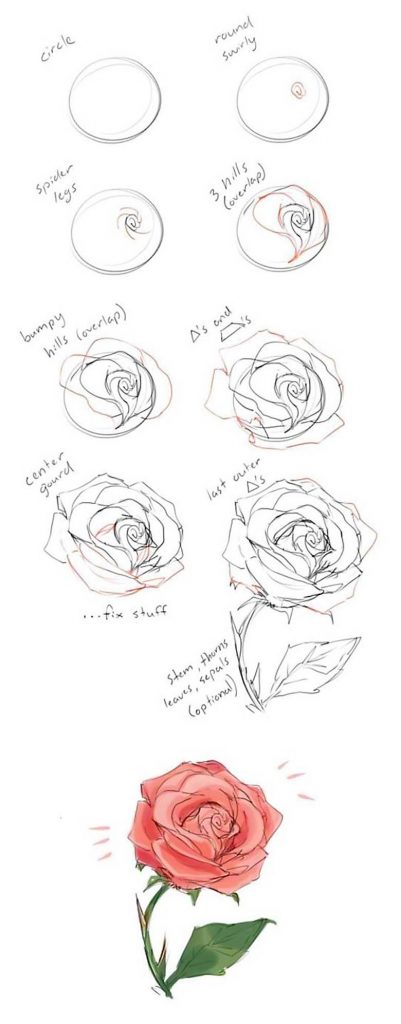 how to draw a rose guide