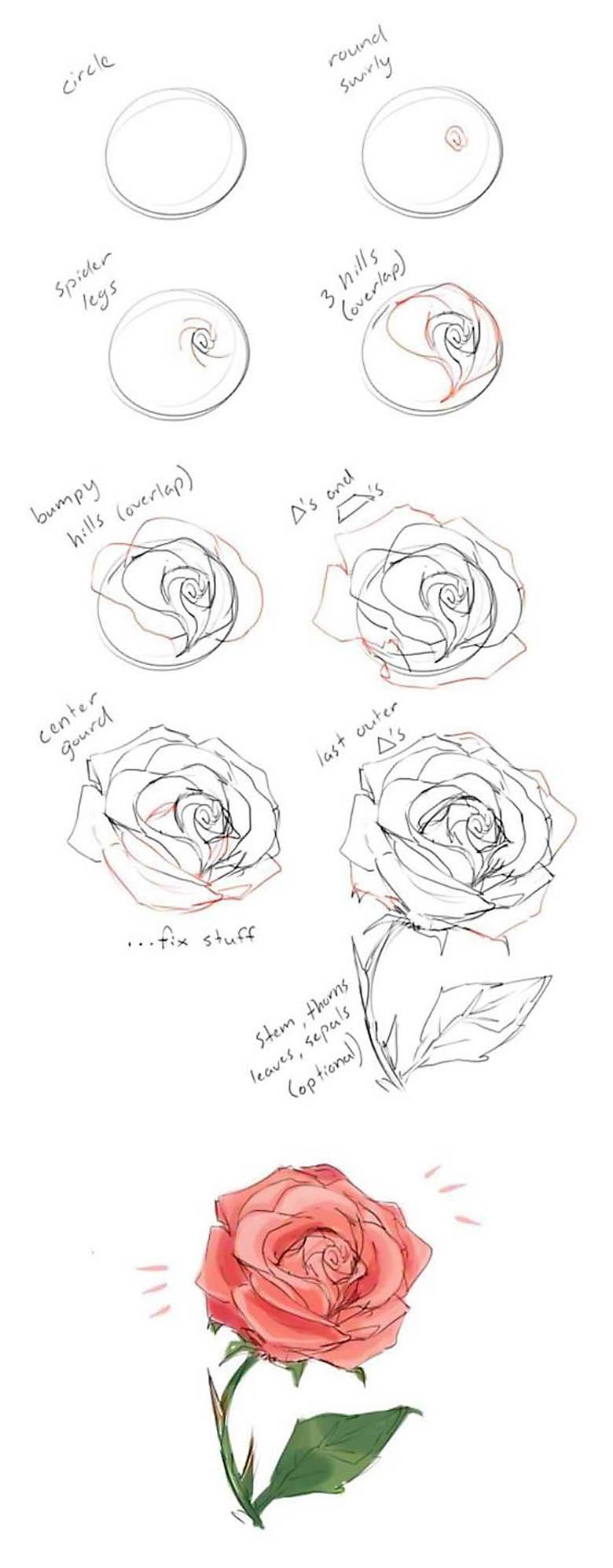 how-to-draw-roses-and-peonies-roses-drawing-flower-drawing-tutorials