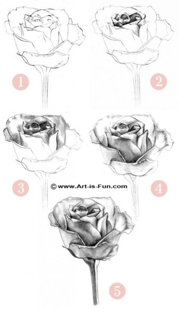 how-to-draw-a-rose-steps - Craft-Mart