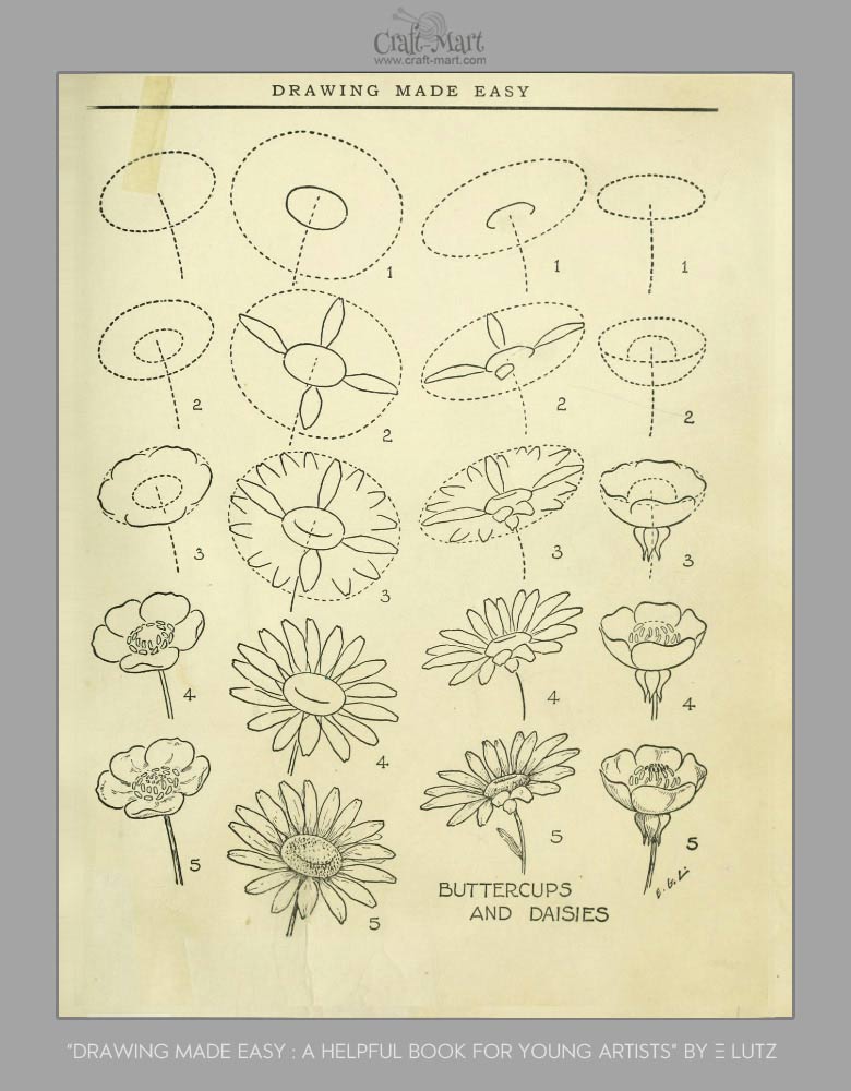draw buttercups and daises - Learn how to draw flowers and turn them into really beautiful wall art. practice flower drawings easy on chalkboard with step-by-step tutorials and easy to follow the instructions and get amazing results! Drawing is relaxing and fun for all ages! #drawings #howtodraw #flowers #wallart #walldecor