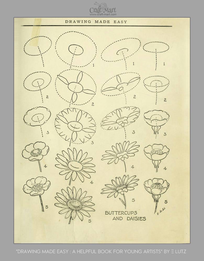 How To Draw A Field Of Flowers Step By Step Required fields are marked