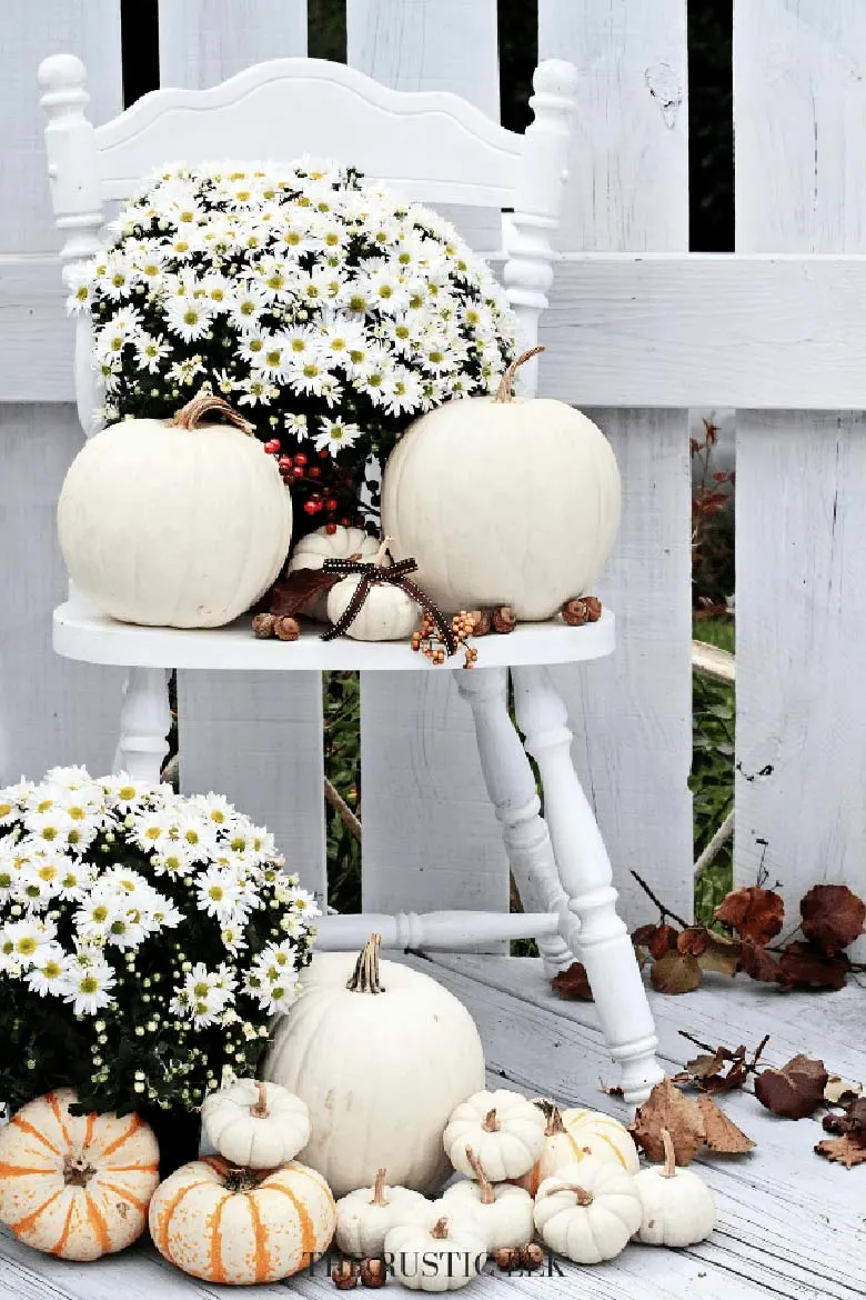 small front porch decorating ideas - white pumpkins in a variety of sizes and a few buckets of white mums will complete this easy DIY fall porch decor project. #frontporchideas #outdoorfalldecoratingideas #smallfrontporchdecoratingideas