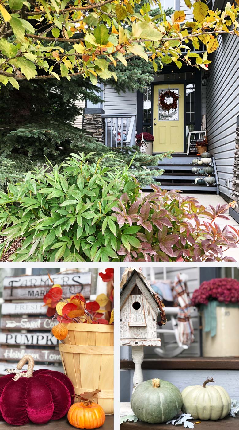 Pretty Suburban Fall Porch