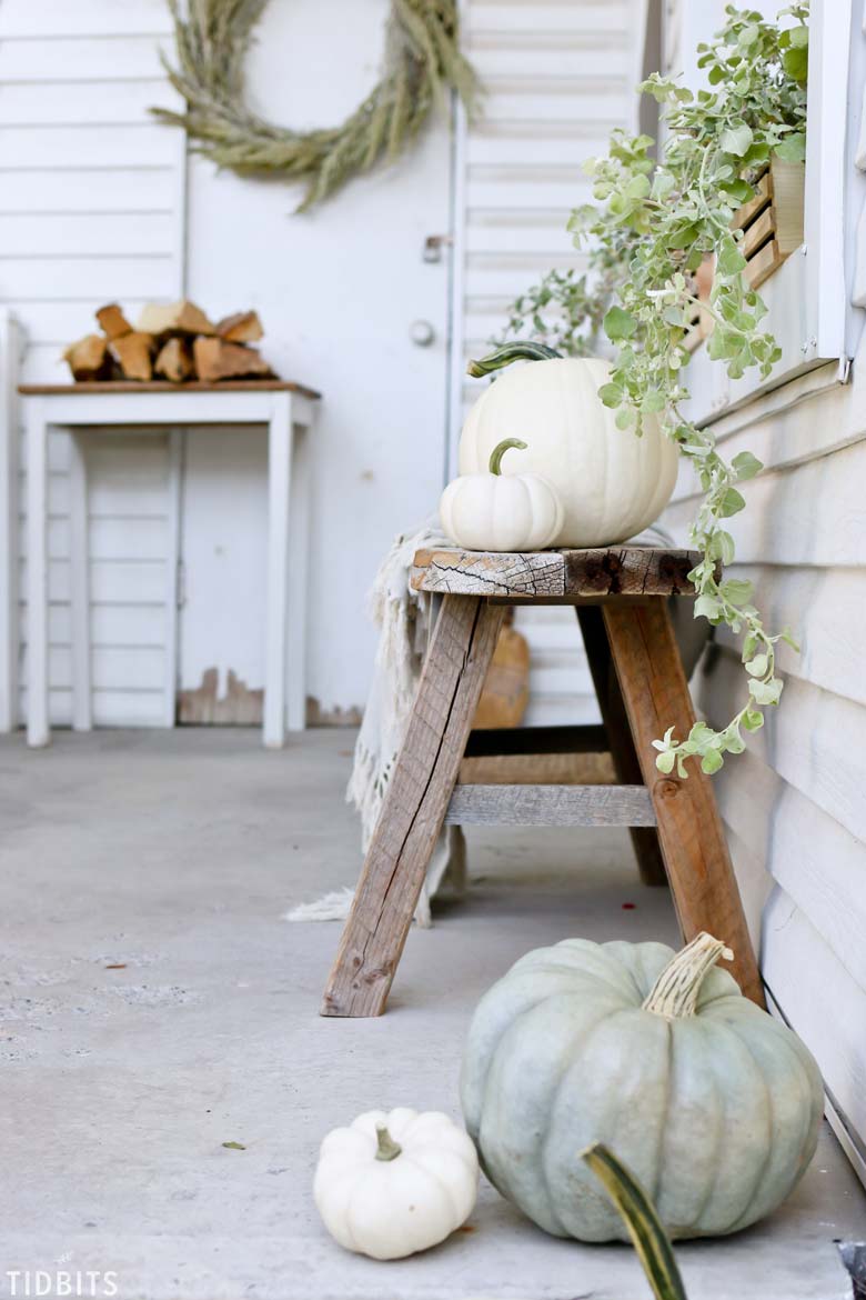 The Art of Decorating a Small Front Porch without Decorating