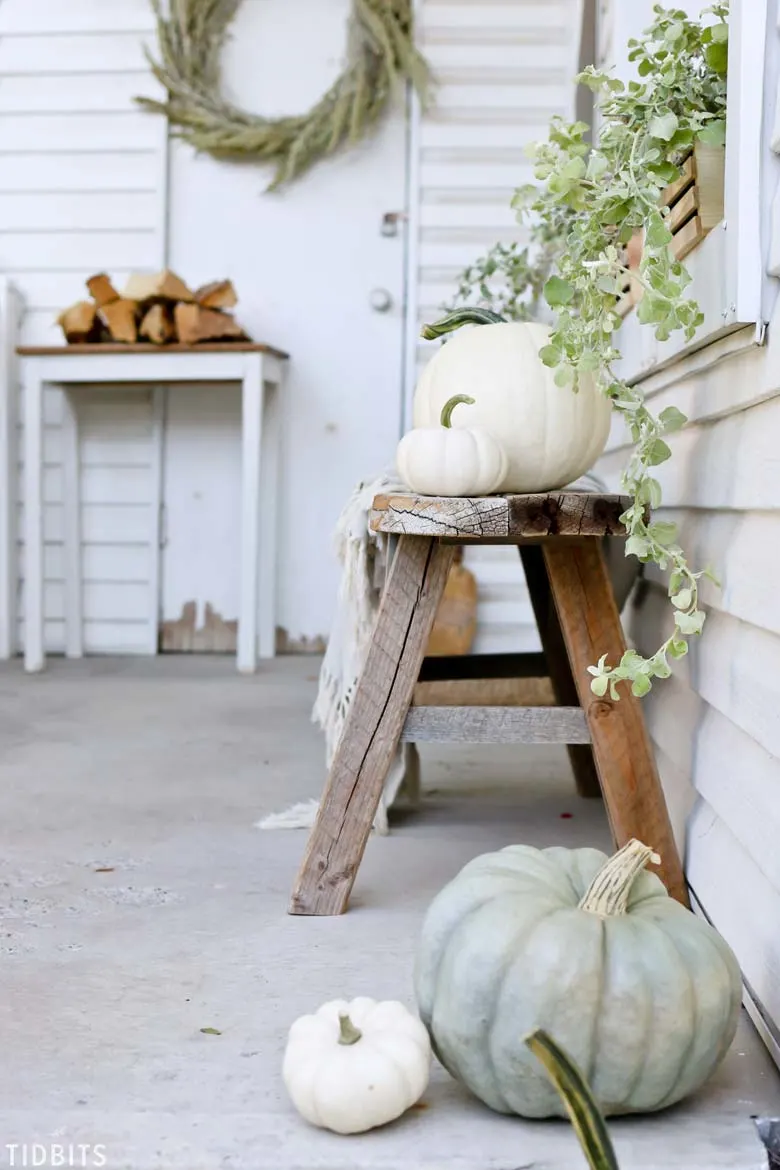 The Art of Decorating a Small Front Porch without Decorating