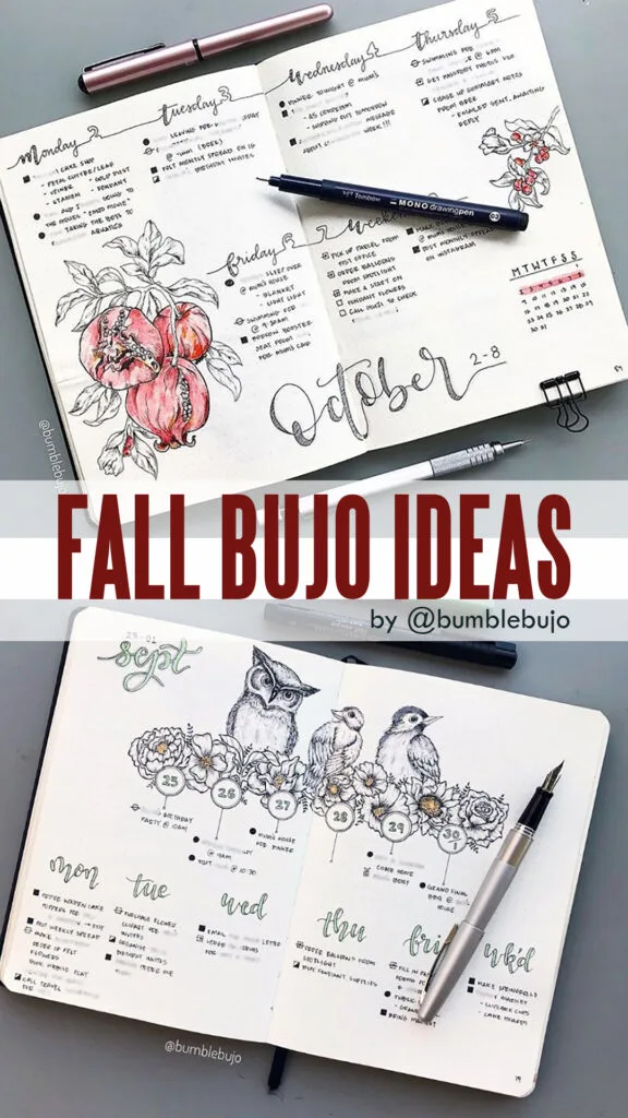 #fallbujo