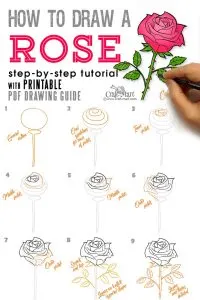 Drawing a rose flower tutorial for beginners