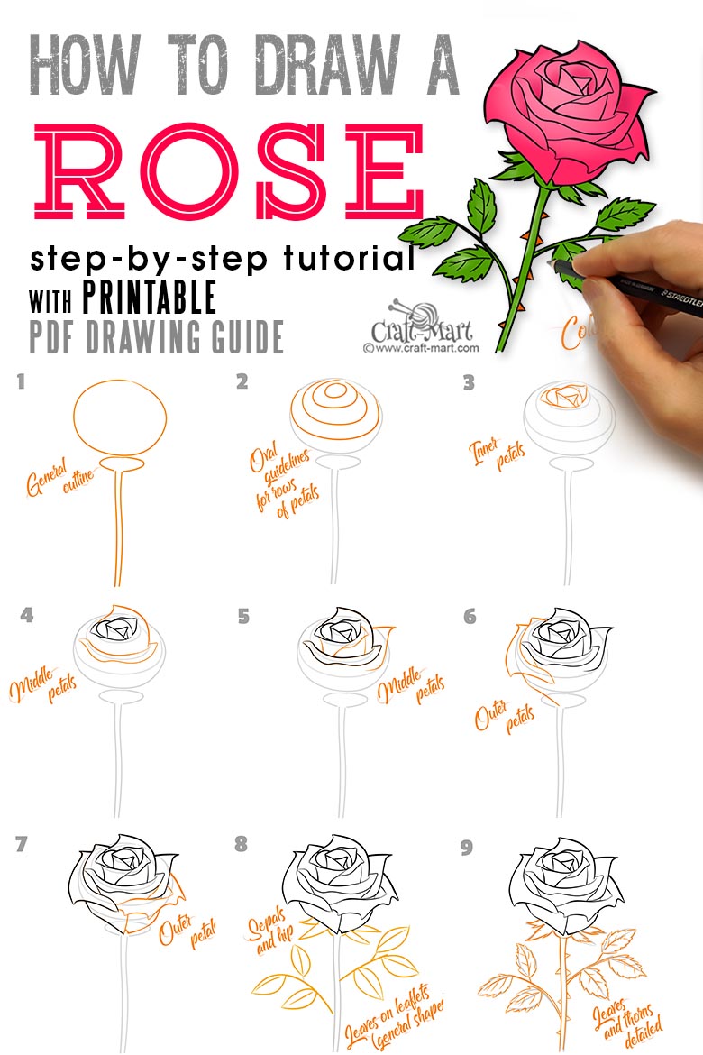 rose drawing tutorial step by step