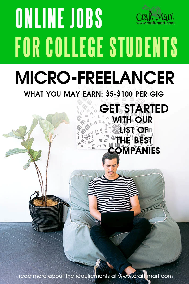 Fiverr Micro-Freelancer jobs for college students