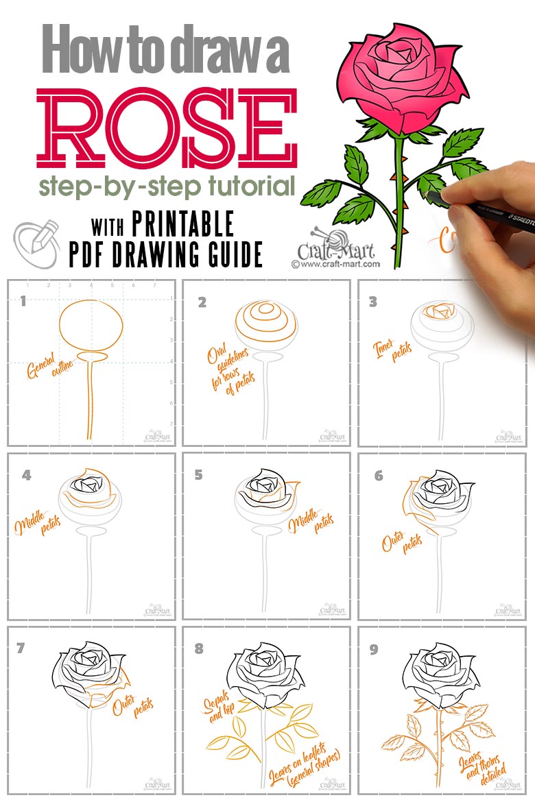 How to draw a rose stepbystep guide for beginners CraftMart