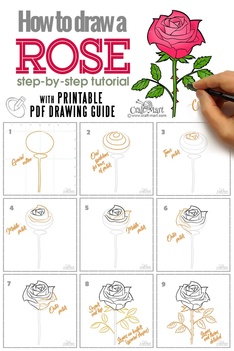 rose drawing tutorial with step-by-step printable guide