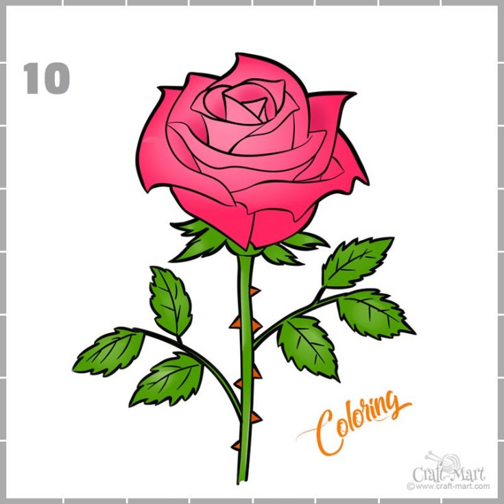 How To Draw Cartoon Roses | How To Draw A Rose – AINZ